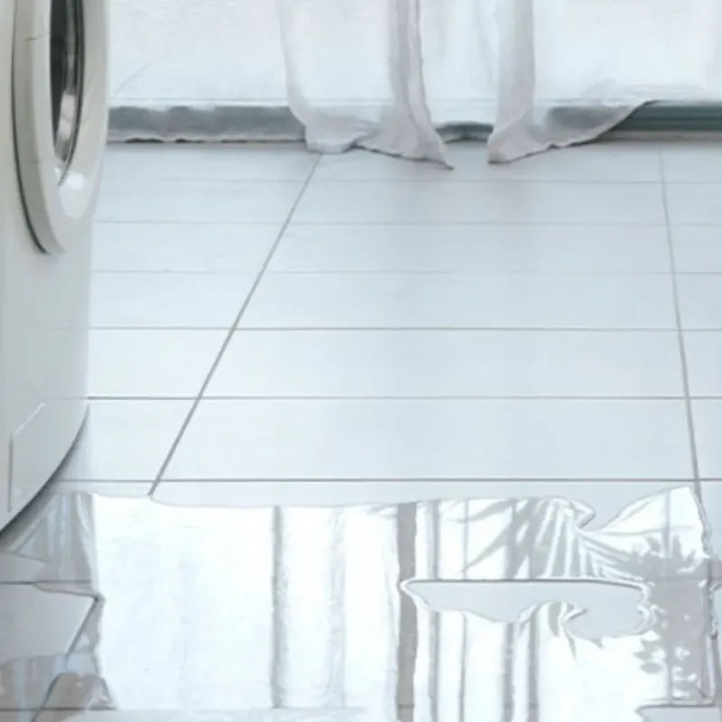Appliance Leak Cleanup in Palo Pinto, TX