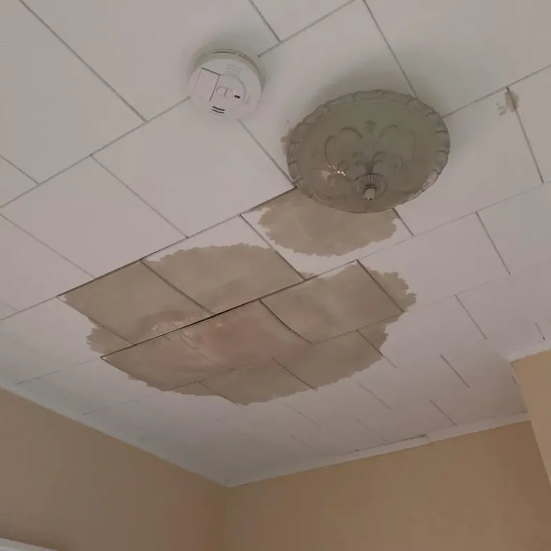 Ceiling Water Damage Repair in Palo Pinto, TX