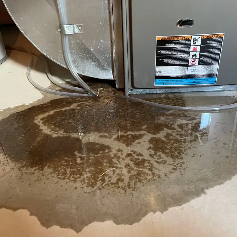 Pipe Burst and Leak Restoration in Palo Pinto, TX