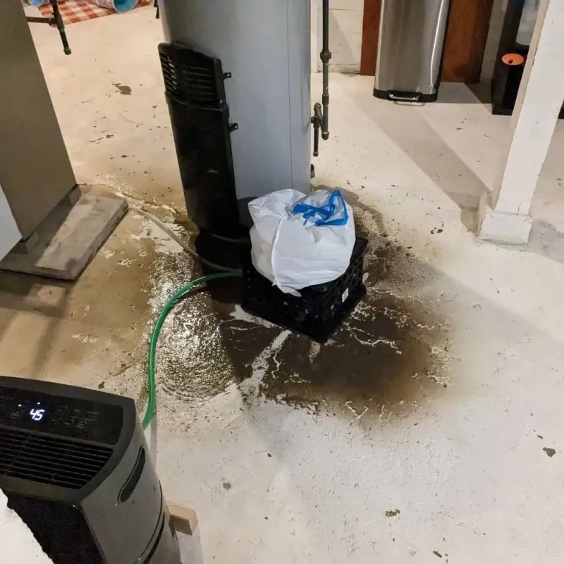 Sewage Backup Cleanup Service in Palo Pinto, TX
